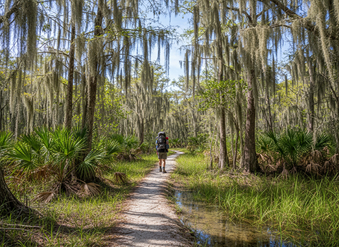 Big Cypress National Preserve